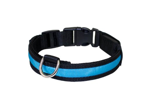 PRECORN Collar para perros luminoso"Zandoo" Collar LED en el color azul. Tamaño S (35-40 cm)
