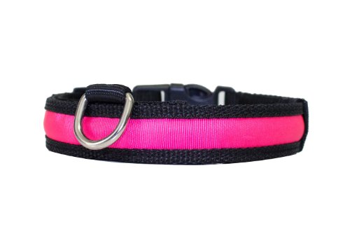 PRECORN Collar para perros luminoso"Zandoo" Collar LED en el color rosa. Tamaño S (35-40cm)