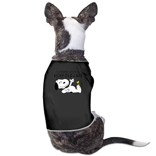 Preferred Store Dog My Body Knows How Old I Am Pet Service Pet Clothing Funny Dog Cat Costume T-Shirt