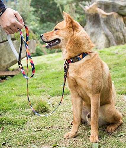 Puccybell Collar de Perro de Nylon en diseño geométrico, Collar clásico para Perros pequeños, medianos y Grandes HB006 (M, Azul Oscuro Colorido)