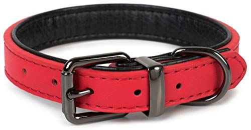 Puccybell Collar para Perros 2 Coloreado con Cuero, Collar clásico en Colores Contrastantes para Perros pequeños, medianos y Grandes HB004 (L, Rojo)