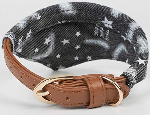 Puccybell HLS007 - Juego de Collar y Correa para Perros con diseño de Estrellas y pañuelo (1,2 m)