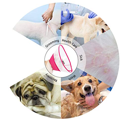 Pup-Town - Collar de recuperación translúcido, Borde Suave, antimordeduras/lamida para Perros pequeños y Gatos