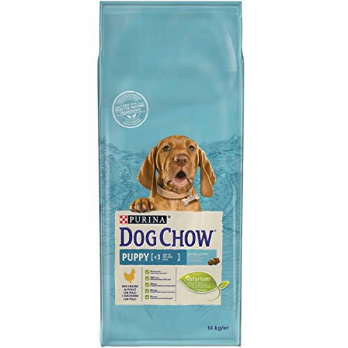 Purina Dog Chow Puppy pienso para Perro Cachorro Pollo 14 Kg