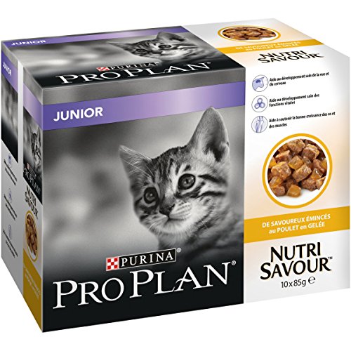 Purina Pro Plan nutrisavour Junior pochons AU Pollo en gelatina para Gato 10 x 85 g