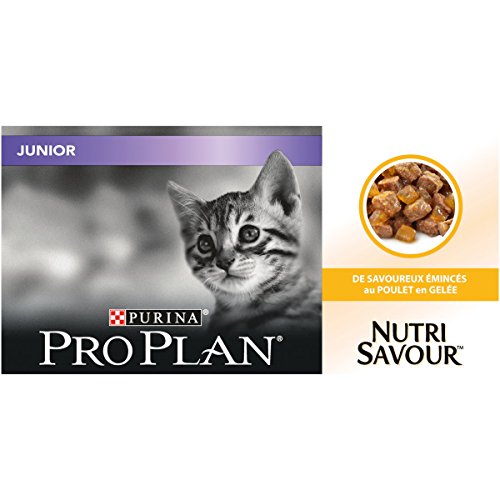 Purina Pro Plan nutrisavour Junior pochons AU Pollo en gelatina para Gato 10 x 85 g
