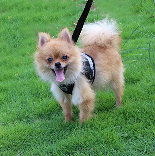 QiCheng&LYS Chaleco de Viaje Regular de Malla Transpirable con Cinturón de Seguridad para Perros y Gatos Chaleco de Seguridad para Mascotas (Negro, XL)