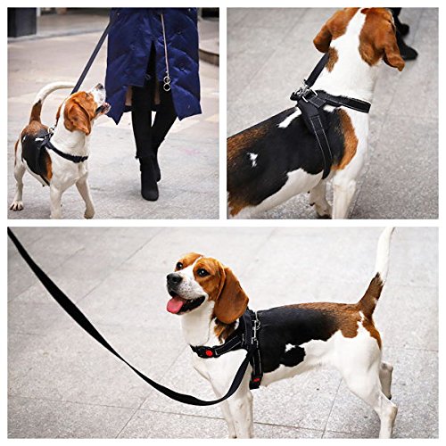 QIMEI-SHOP Arnés de Perro,Arnés de Mascotas Ajustable de Oxford con tirón para Entrenamiento de Perros o Caminar (S-M-L-XL, Negro)