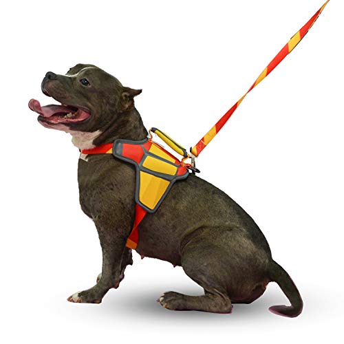 QQPETS Personalizado Arnés para Perros con Una Correa de Perro a Juego para Entrenamiento y Caminatas(L,ES)