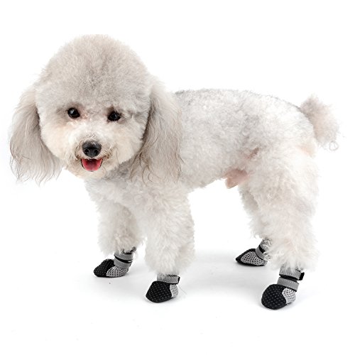 Ranphy - Botas de Malla Transpirable para Perro, Zapatos de Paseo para Mascotas Reflectantes con Suela Antideslizante para el Verano Caliente para Perros pequeños 4 Piezas