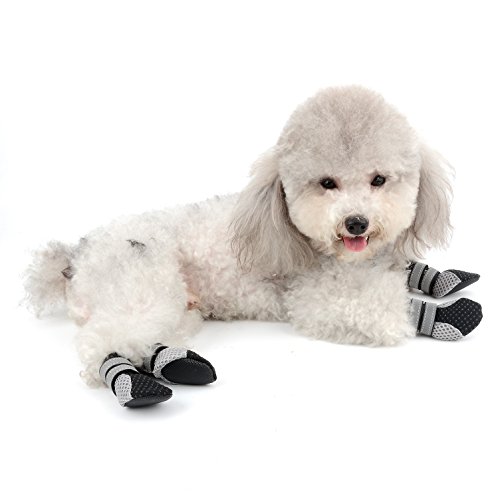 Ranphy - Botas de Malla Transpirable para Perro, Zapatos de Paseo para Mascotas Reflectantes con Suela Antideslizante para el Verano Caliente para Perros pequeños 4 Piezas