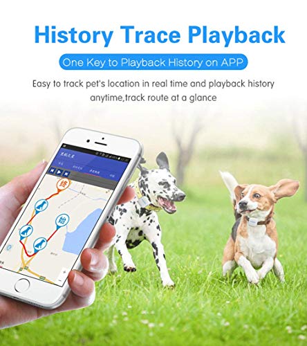 Rastreador GPS para Mascotas, localizador GPS para Mascotas, Collar de Silicona, rastreador GPS, Monitor Inteligente App, IP65 Resistente al Agua, Pastilla remota