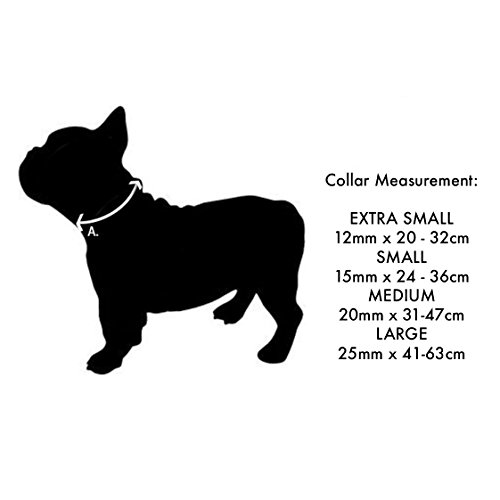 Red Dingo Plain - Collar Perro, Rosa (Hot Pink), talla del fabricante: XS