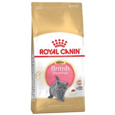 Royal Canin - Alimento para gatos británico, 400 g, venta por Maltby's