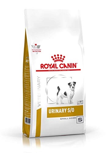 RoyalCanin Urinary S/O Small Dog 1.5 kg | Pienso Renal para Perros Adultos de Razas Pequeñas con Trastornos Urinarios | Comida Que Ayuda a Disolver Todos los Tipos de Cálculos de Fosfato Inorgánicos