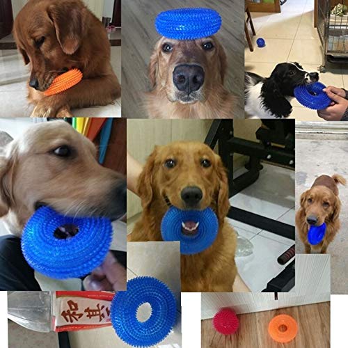 S / XL Squeak Chew mascotas juguetes for perros Golden Retriever grande Formación divertido Chew Thorn anillo del círculo perro pequeños juguetes del sonido interactivo ( Color : Blue , Size : S )