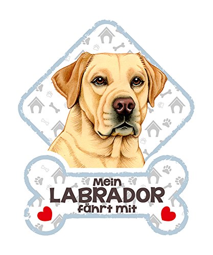 SAB - Cartel para Perros con ventosas para el Parabrisas de Coche Labrador 30