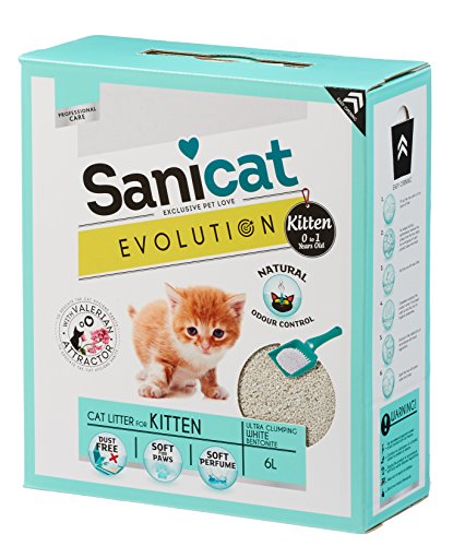SANICAT Evolution Kitten, Arena de Gato Aglomerante - 6L