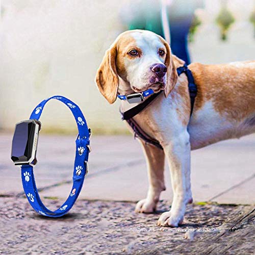 SNAWEN Rastreador GPS para Collar de Mascotas con micrófono para Perros Gatos Mini GPS en Tiempo Real + Beidou + WF + LBS + AGPS Localizador de rastreo Rastreador de Mascotas Anti-perdidas-si
