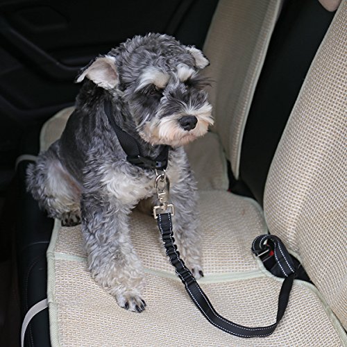 Speedy - Cinturón elástico ajustable para el asiento del perro, para el coche, cinturón de seguridad para perros y gatos con elástico de nailon