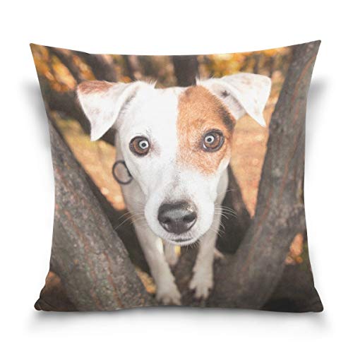 SSHELEY Parsons Jack Russell Terrier Funda de Almohada Cuadrada para Perros Funda de cojín de Terciopelo