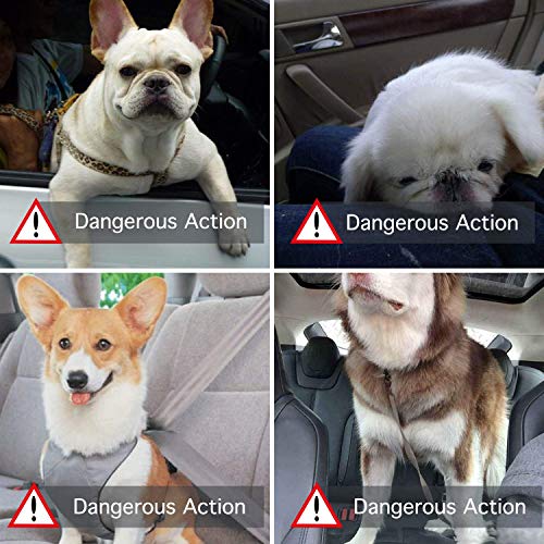 STARPIA Protector de Asiento de Coche para Mascotas Perros Gatos, Cinturón de Seguridad/Bolsa de Almacenamiento, Capazo de Coche Plegable Impermeable Lavable para Perros Viaje (Gris)