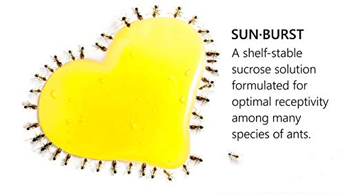 Sunburst Néctar para Hormigas: Envase de 120 ml de Bebida Líquida, Práctica y Fiable para Criadores de Hormigas