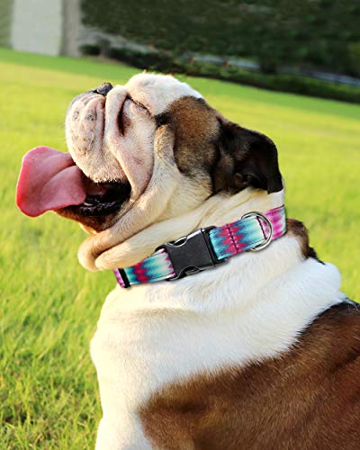 Taglory Collar Perro Ajustable,Estilo Único Collar Adiestramiento para Perros Medianos,35-50cm Pavo Real Morado