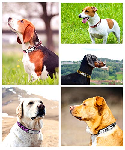 TagME Collar de Perro de Cuero Personalizado, Collares de Perro Acolchados con Nombre Grabado y Número de Teléfono para Perros Pequeños Medianos Grandes, 8 Colores y 5 Tamaños, XS/S/M/L/XL