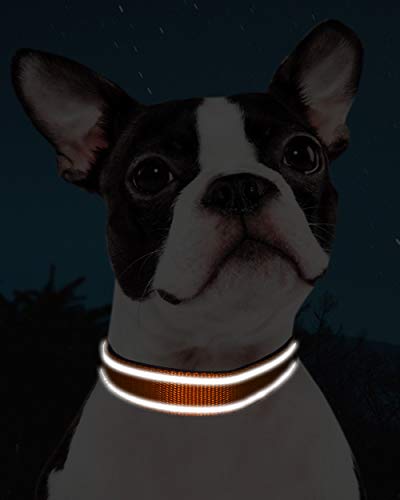 TagME Collar de Perro Personalizado, Collares de Nylon Acolchados y Reflectantes, Etiqueta de Acero Inoxidable con Nombre Grabado y Número de Teléfono