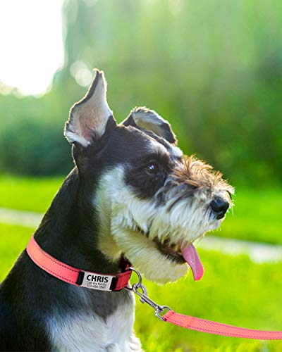 TagME Collar de Perro Reflectante Personalizado,Placa de Acero Inoxidable,Grabado con Nombre y Número de Teléfono,Deslizar en Las Etiquetas de Identificación del Perro,Rosa