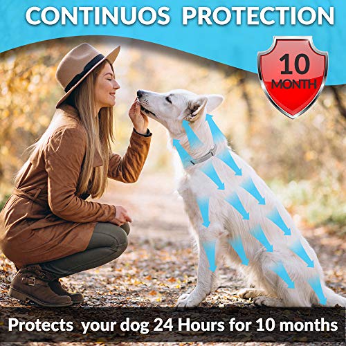 Tanness Collar antipulgas y garrapatas Perros Grandes y pequeños, 25 Pulgadas, hipoalergénico e Impermeable, para prevenir garrapatas y Control de pulgas, para 8 Meses de protección