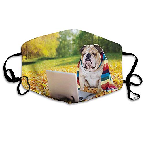 Tapa de Boca Bulldog inglés, Perro en el Parque con una computadora portátil y una Bufanda de Colores del Arco Iris Fotografía Divertida, Multicolor