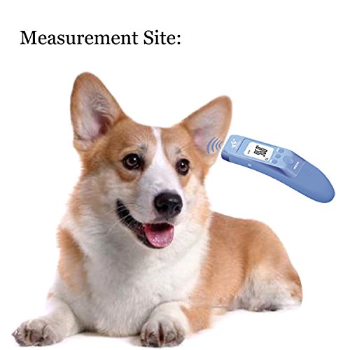 Termómetro clínico rápido para gato, perro y animal de oreja grande, mide la temperatura del oído de la mascota con precisión, modo de cuerpo y objeto (modo de baño, leche) disponible, C/F conmutable