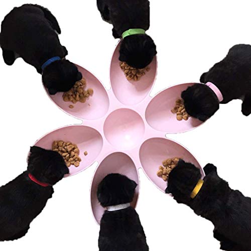 TJLSS Pétalo En Forma respetuosa con el Medio Ambiente Comida de plástico, Perro de Mascota, Comida for Perro, Slow Food Bowl (Color : Green)