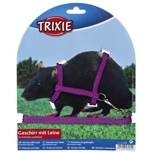 Trixie Nylon arnés con correa para los hurones/ratas, 12 – 25 cm x 8 mm, 4 unidades