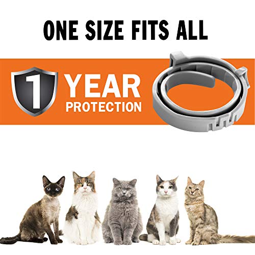 TUZIK - Collar antipulgas para Gatos, 12 Meses de protección contra pulgas, Ajustable, Seguro e Impermeable, Collar antipulgas – Todo Natural y antialérgico