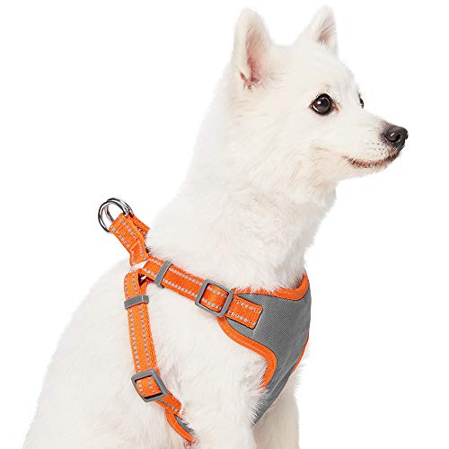 Umi. by Amazon - Pastel - Arnés tipo chaleco para perros reflectante L, contorno del pecho 74-98 cm, arneses ajustables para perros (naranja calabaza)
