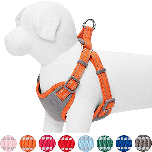 Umi. by Amazon - Pastel - Arnés tipo chaleco para perros reflectante L, contorno del pecho 74-98 cm, arneses ajustables para perros (naranja calabaza)