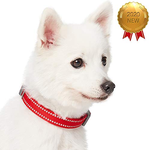 Umi. by Amazon - Pastel - Collar para perros L, cuello 45-66 cm, collares ajustables para perros (rojo amapola)