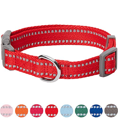 Umi. by Amazon - Pastel - Collar para perros L, cuello 45-66 cm, collares ajustables para perros (rojo amapola)