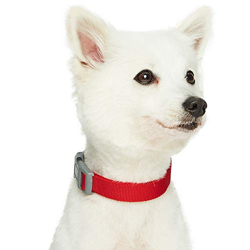 Umi. Essential Classic - Collar para perros S, cuello 30-40 cm, collares ajustables para perros (rojo)
