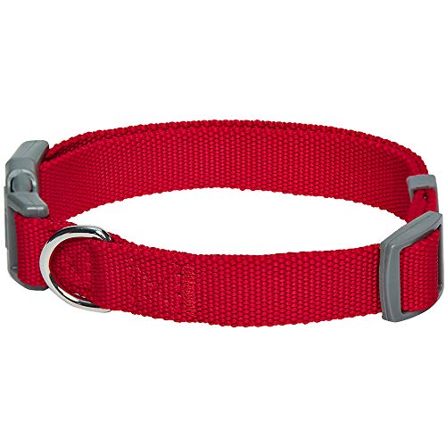 Umi. Essential Classic - Collar para perros S, cuello 30-40 cm, collares ajustables para perros (rojo)