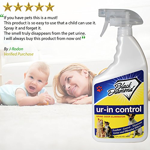 ur-in Control elimina los olores orina – Controles gato, perro, Pet & Human olores de alfombras, muebles, colchones, lechada y PET cama y hormigón. Biodegradable enzimas.