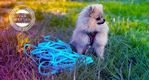 VAN WEEGEN - Mini cuerda de arrastre para perros pequeños y cachorros