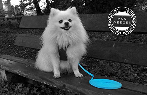 VAN WEEGEN - Mini cuerda de arrastre para perros pequeños y cachorros