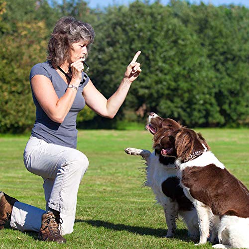 Vanplay Silbato Adiestramiento para Perros con Cordón Deja de Ladrar Control de Mascotas Recordar Herramienta,Juego de 3 Piezas