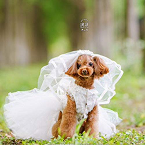 Velo para perros pequeños perro gato boda velo vestido novia disfraz perro peluca clips de pelo sombrero perro accesorios de pelo