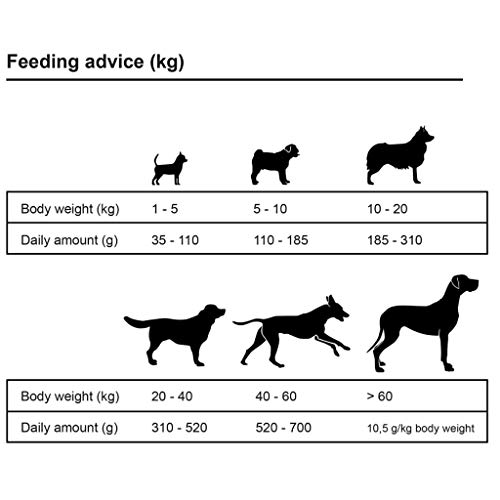 vidaXL - Parque y comida seca para perros (450 x 150 x 185 cm), color negro