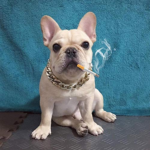VOWAN Collar para Mascotas para Perros Collar de Cadena Gruesa Collar de Cachorro de plástico Chapado en Oro Accesorios de joyería Colgante Cadena de Oro